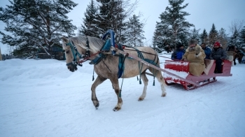 Horse sledding in Russia